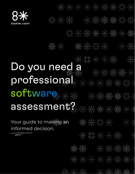 Book cover that reads: 'Do You Need A Professional Software Assessment: Your Guide to Making an Informed Decision'.